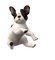 Nintendogs dog - ilmainen png animoitu GIF