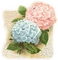 Hortensien, Blumen, Brief - gratis png animerad GIF