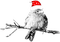 soave deco bird branch christmas winter black - 免费PNG 动画 GIF