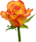 Kaz_Creations Flowers Flower - gratis png geanimeerde GIF