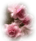 pink flower - PNG gratuit GIF animé