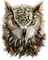 Eule, Owl, - безплатен png анимиран GIF