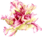 flowers anastasia - PNG gratuit GIF animé
