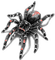 araignée - bezmaksas png animēts GIF