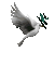 Birds bp - Бесплатный анимированный гифка анимированный гифка