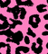 cheetah - Nemokamas animacinis gif animuotas GIF