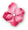 soave deco flowers scrap pearl vintage pink - PNG gratuit GIF animé