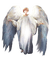 anioł - PNG gratuit GIF animé
