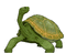 Tortuga - Darmowy animowany GIF animowany gif