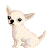 doggy - GIF animado gratis GIF animado