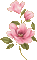pink flowers deco - Darmowy animowany GIF animowany gif