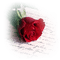Tube Rose - bezmaksas png animēts GIF