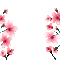 Y.A.M._Spring Flowers Decor - GIF animé gratuit GIF animé