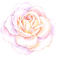 vintage suave  pink rose deco - PNG gratuit GIF animé
