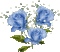 blue roses sunshine3 - Nemokamas animacinis gif
