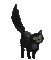 black cat - GIF animé gratuit GIF animé