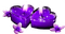 Candles.Hearts.Flowers.Purple - бесплатно png анимированный гифка