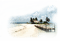 sea anastasia - Free PNG Animated GIF