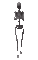 Halloween Skeleton - Darmowy animowany GIF animowany gif