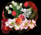 Flores bellas - 無料のアニメーション GIF アニメーションGIF