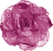 blomma-purple - png gratis GIF animasi