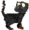 Petz Black Alley Cat Sniffing - Δωρεάν κινούμενο GIF κινούμενο GIF