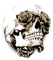 Y.A.M._Gothic skull sepia - Free PNG Animated GIF