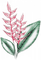 soave deco summer branch  pink green - darmowe png animowany gif