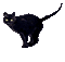 Cat.Chat.Gato.Black.gif.Victoriabea - GIF animé gratuit GIF animé