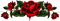 Barrinha de Rosas vermelhas