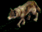 wolf - Darmowy animowany GIF animowany gif