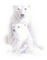 Kaz_Creations Deco Animals Animal Polar Bears - gratis png animerad GIF