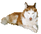 Hond - Gratis geanimeerde GIF geanimeerde GIF