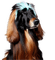 Hond - 無料のアニメーション GIF