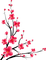 Spring Bb2 - Free PNG Animated GIF