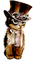Steampunk cat - бесплатно png анимированный гифка