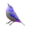 kikkapink deco scrap bird purple