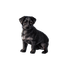 kikkapink cute animal dog - PNG gratuit GIF animé