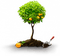 trees bp - Free PNG Animated GIF