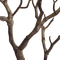 Baumstamm - Free PNG Animated GIF