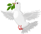 Le pigeon  - Dove 2