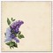 minou-frame-background-flowers lilacs - Free PNG Animated GIF