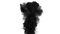 Black Smoke - png gratis GIF animado