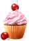 Cupcake Cherry - zadarmo png animovaný GIF