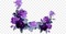 Lilac - ingyenes png animált GIF