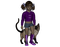 fille chat - darmowe png animowany gif