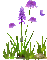 flower - Nemokamas animacinis gif animuotas GIF