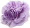 Kaz_Creations Deco Flower Colours - darmowe png animowany gif