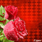 soave background animated flowers rose valentine - GIF animé gratuit GIF animé