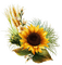 Herbst, Sonnenblume, Flower, Autumn - PNG gratuit GIF animé